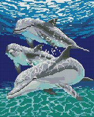 Набор алмазной мозаики "Дельфины - с рамой 30х40 см" цена и информация | Алмазная мозаика | 220.lv