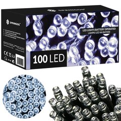 LED virtene 10 m, 100 LED цена и информация | Гирлянды | 220.lv