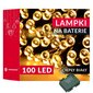 LED virtene 10 m, 100 LED цена и информация | Ziemassvētku lampiņas, LED virtenes | 220.lv