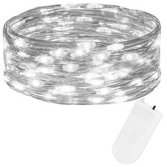 LED virtene 1 m, 10 LED цена и информация | Гирлянды | 220.lv