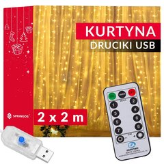 LED virtene 2x2 m, 200 LED цена и информация | Гирлянды | 220.lv