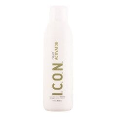 Гель для подчеркивания цвета Ecotech Color I.c.o.n. (1000 ml) (1000 ml) цена и информация | Краска для волос | 220.lv