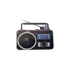 EPE-920 цена и информация | Радиоприемники и будильники | 220.lv