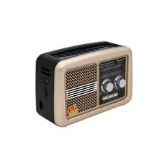 Golon RX-BT978S цена и информация | Радиоприемники и будильники | 220.lv