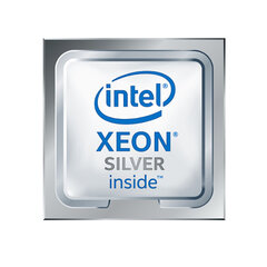 Процессор HPE XEON-S 4210R 3,2 GHZ 13,75 MB LGA 3647 цена и информация | Процессоры (CPU) | 220.lv