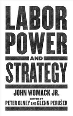 Labor Power And Strategy cena un informācija | Sociālo zinātņu grāmatas | 220.lv