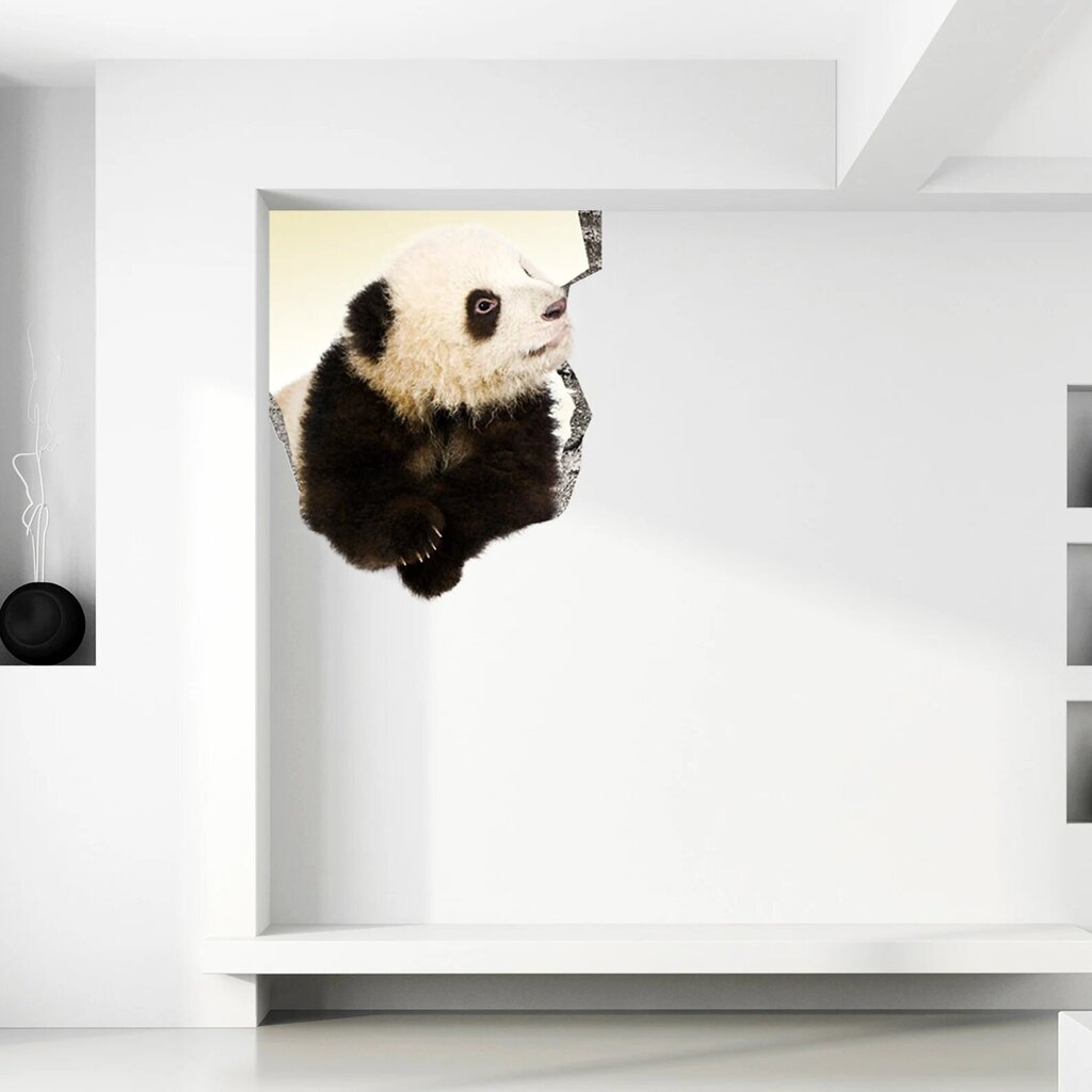 Vinila uzlīme uz sienas, 3D panda, uzlīme ar dzīvniekiem interjera dekoru bērnu istabai - 60 x 60 cm cena un informācija | Dekoratīvās uzlīmes | 220.lv