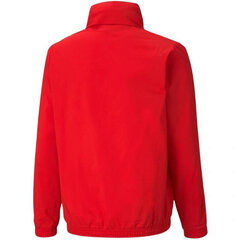 Всепогодная куртка Puma teamRISE 657402 01, красная цена и информация | Куртки для мальчиков | 220.lv