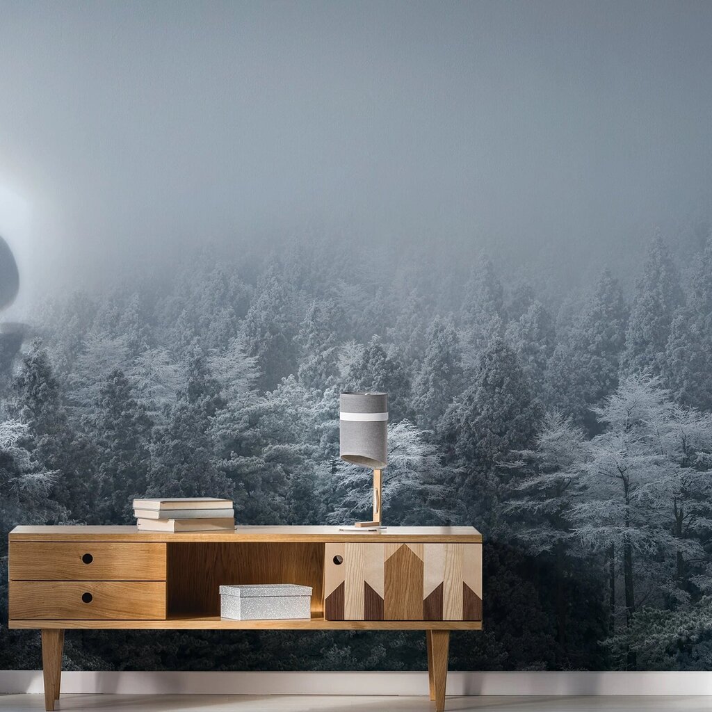 Tapetes Sniega mežs, Tapetes ar ziemas meža efektu, Interjera dekors - 390 x 280 cm cena un informācija | Dekoratīvās uzlīmes | 220.lv