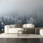Tapetes Sniega mežs, Tapetes ar ziemas meža efektu, Interjera dekors - 390 x 280 cm cena un informācija | Dekoratīvās uzlīmes | 220.lv