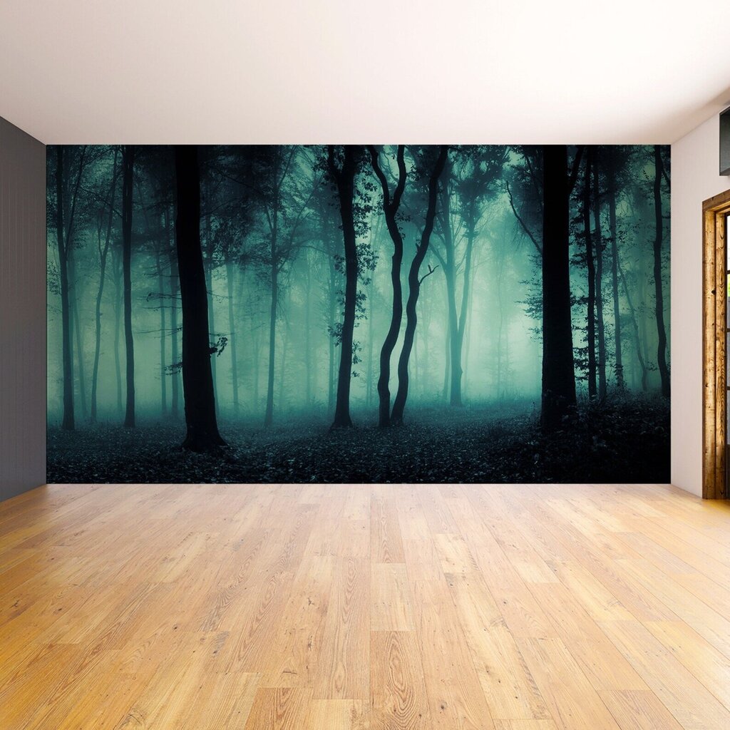 Tapetes Miglains mežs, Tapetes ar nakts meža efektu, Interjera dekors - 390 x 280 cm цена и информация | Dekoratīvās uzlīmes | 220.lv