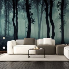 Tapetes Miglains mežs, Tapetes ar nakts meža efektu, Interjera dekors - 390 x 280 cm cena un informācija | Dekoratīvās uzlīmes | 220.lv