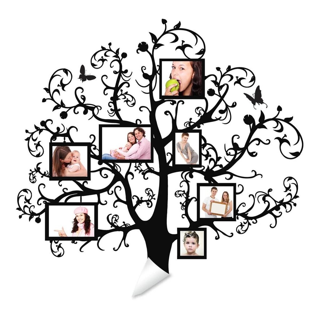 Vinila sienas uzlīme, liels koks — ģimenes foto dekors — 180 X 177 cm cena un informācija | Dekoratīvās uzlīmes | 220.lv