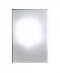 Zoe Leonard: Available Light цена и информация | Книги об искусстве | 220.lv
