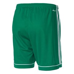 Шорты мужские Adidas Squadra 17 M BJ9231, зеленый цвет цена и информация | Мужские шорты | 220.lv