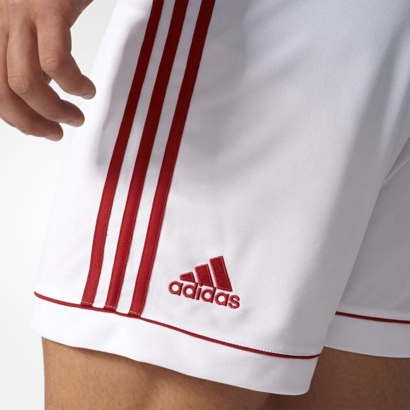 Šorti vīriešiem Adidas Squadra 17 M BK4762, balti cena un informācija | Vīriešu šorti | 220.lv