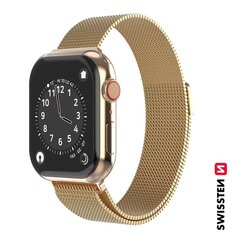 Swissten Металлический ремешок для Apple Watch 1/2/3/4/5/6/SE / 42 mm / 44 mm цена и информация | Аксессуары для смарт-часов и браслетов | 220.lv