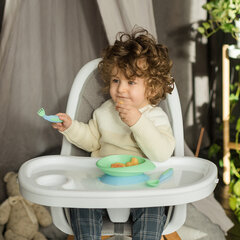 Наклонная миска Baboo с липким дном, зеленая, от 6 месяцев цена и информация | Детская посуда, контейнеры для молока и еды | 220.lv