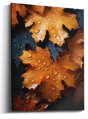 Glezna Orange Raindrops cena un informācija | Gleznas | 220.lv
