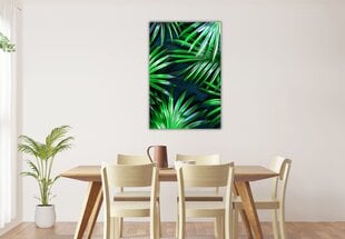 Картина Palmtree Leaf цена и информация | Картины | 220.lv