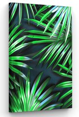 Glezna Palmtree Leaf cena un informācija | Gleznas | 220.lv