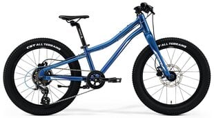 Детский велосипед Merida Matss J.20+, синий цвет цена и информация | Велосипеды | 220.lv
