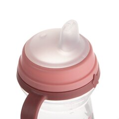 Бутылочка для питья с носиком Canpol Babies Bonjour Paris 56/613, от 6 месяцев, 250мл цена и информация | Бутылочки и аксессуары | 220.lv