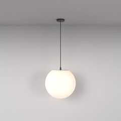 Griestu lampa Erda Maytoni Outdoor O594PL-01B цена и информация | Потолочные светильники | 220.lv