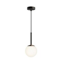 Griestu lampa Maytoni Modern MOD321PL-01B cena un informācija | Griestu lampas | 220.lv