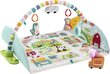 Treniņa paklājiņš, Fisher Price, 7 rotaļlietas cena un informācija | Attīstošie paklājiņi | 220.lv