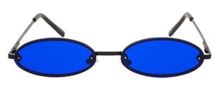 Женские солнцезащитные очки синего цвета цена и информация | Женские солнцезащитные очки | 220.lv