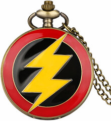 Часы DC Flash цена и информация | Оригинальные часы | 220.lv