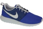 Sporta apavi sievietēm Nike Roshe One Gs 599728410, zili