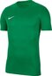 T-krekls zēniem Nike Dry Park VII Jr BV6741302, zaļš цена и информация | Zēnu krekli | 220.lv