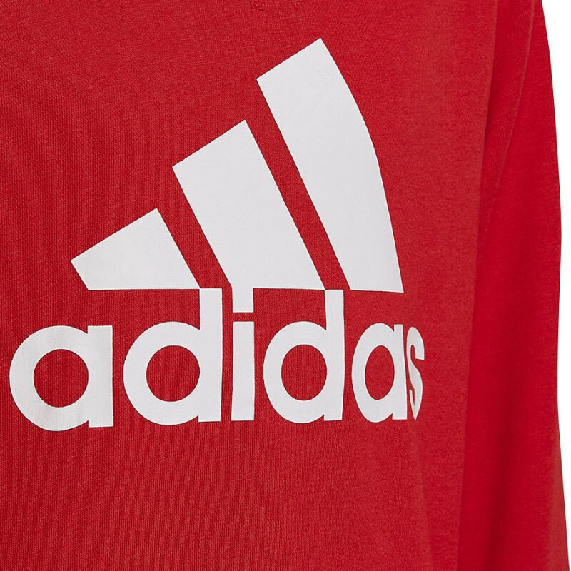 Džemperis zēniem Adidas Big Logo Swt Jr HN1911 цена и информация | Zēnu jakas, džemperi, žaketes, vestes | 220.lv