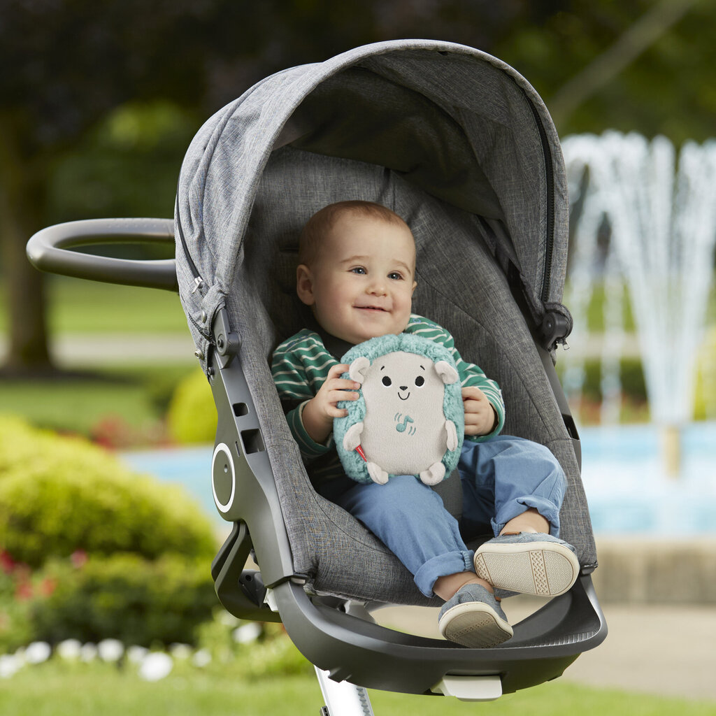 Fisher-Price Hedgehog nomierinoša rotaļlieta FXC58 cena un informācija | Rotaļlietas zīdaiņiem | 220.lv