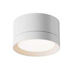 Griestu lampa Maytoni Technical C086CL-GX53-SRD-W cena un informācija | Griestu lampas | 220.lv