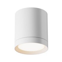 Griestu lampa Maytoni Technical C086CM-GX53-MRD-W цена и информация | Griestu lampas | 220.lv