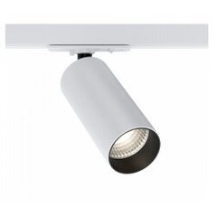 Iebūvējamās lampas LED Maytoni Technical TR021-1-12W4K-W-W цена и информация | Монтируемые светильники, светодиодные панели | 220.lv