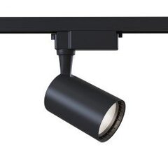 Track Lighting Vuoro Maytoni Technical TR003-1-10W4K-S-B cena un informācija | Iebūvējamās lampas, LED paneļi | 220.lv