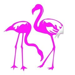 Vinila sienas uzlīme rozā flamingo putnu uzlīme interjera dekors - 100 x 100 cm cena un informācija | Dekoratīvās uzlīmes | 220.lv