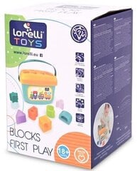 Сортировщик форм Lorelli цена и информация | Развивающие игрушки | 220.lv