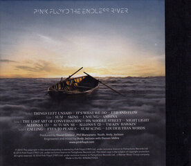 Pink Floyd - The Endless River, CD, Digital Audio Compact Disc cena un informācija | Vinila plates, CD, DVD | 220.lv