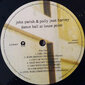 Vinila plate John Parish & Polly Jean Harvey - Dance Hall At Louse Point, LP, 12" vinyl record cena un informācija | Vinila plates, CD, DVD | 220.lv