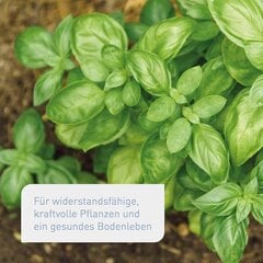 Органические университетские удобрения Plantura с долгосрочными эффектами, для всех растений, без животных и органических, 1,5 кг цена и информация | Рассыпчатые удобрения | 220.lv