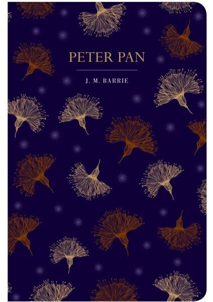 Peter Pan cena un informācija | Fantāzija, fantastikas grāmatas | 220.lv