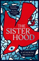 Sisterhood: Big Brother is watching. But they won't see her coming. Export/Airside cena un informācija | Fantāzija, fantastikas grāmatas | 220.lv