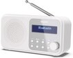 Radio Sharp DR-P420 цена и информация | Radioaparāti, modinātājpulksteņi | 220.lv