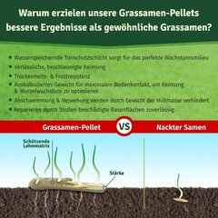 VEDDELHOLZ zāliena granulas cena un informācija | Dārzeņu, ogu sēklas | 220.lv