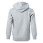 Hooded full zip sweatshirt champion legacy bērniem grey 306170em006 306170EM006 cena un informācija | Zēnu jakas, džemperi, žaketes, vestes | 220.lv